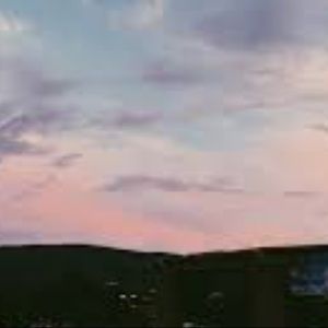 Meet your Posher, Isabella